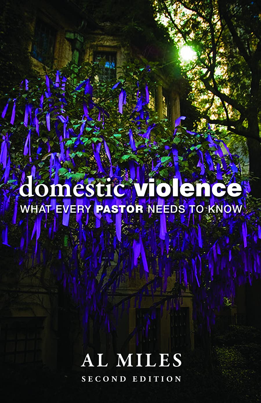 Domestic Violence: What Every Pastor Needs to Know: Second Edition