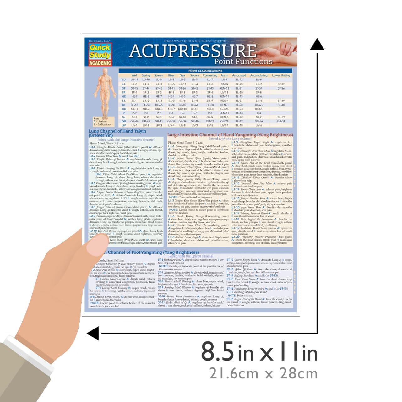 Acupressure - Point Functions