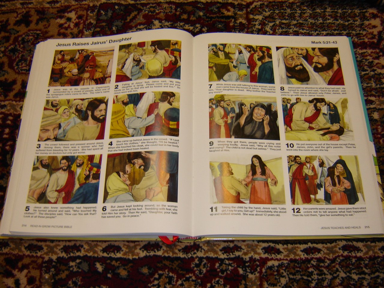 Read-N-Grow Picture Bible: Adventure from Creation to Revelation in 1,872 Realistic Pictures / Jimmy Swaggart Ministries