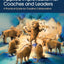 Applied Improvisation for Coaches and Leaders: A Practical Guide for Creative Collaboration