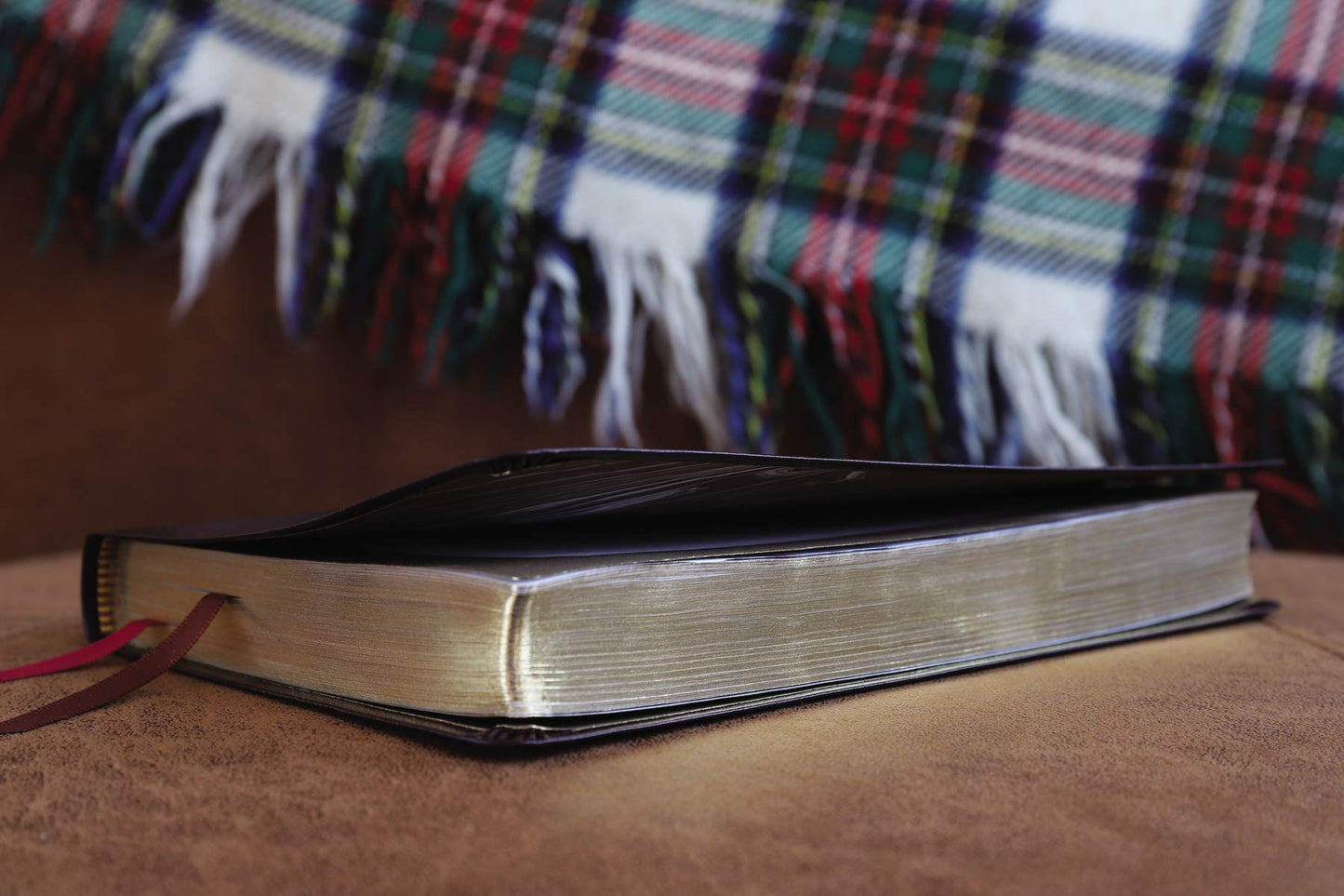 NIV Thinline Bible Bonded Leather Burgundy Red Letter