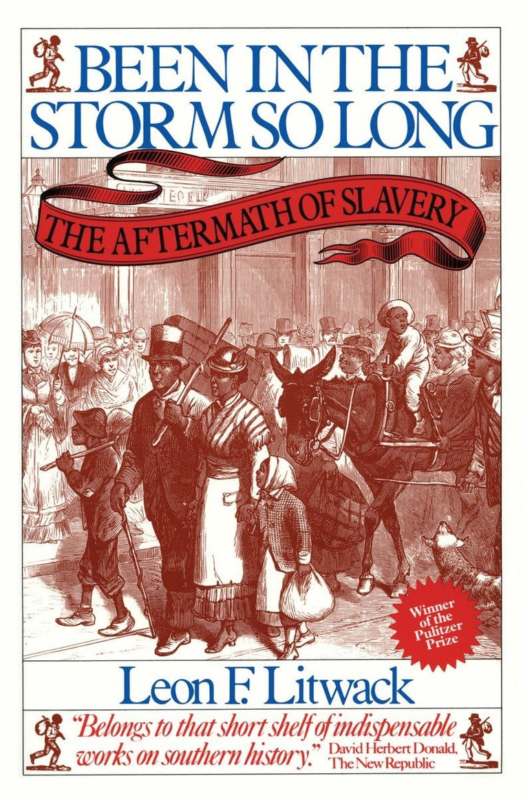 Been in the Storm So Long: The Aftermath of Slavery by Litwa