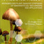 Nanobiotechnology: Microbes and Plant Assisted Synthesis of Nanoparticles, Mechanisms and Applications