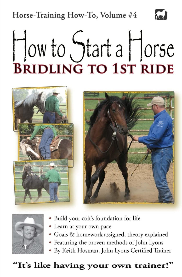 How to Start a Horse: Bridling to 1st Ride (Horse Training How-To)