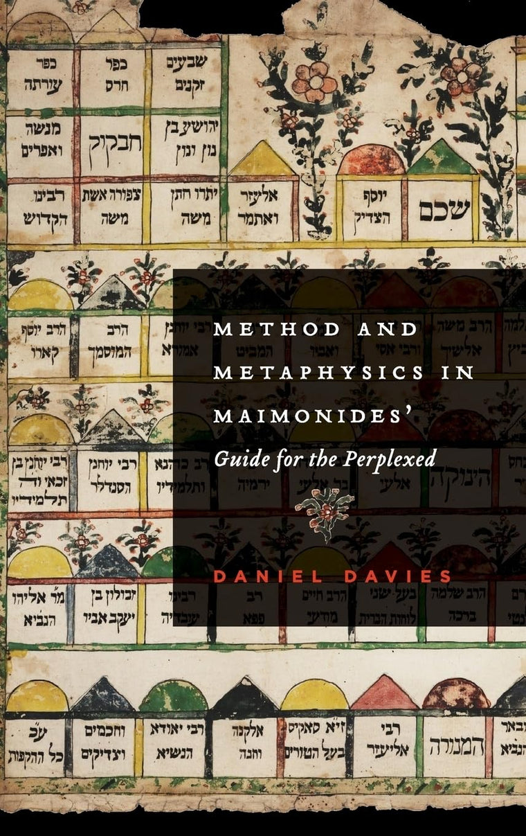 Method and Metaphysics in Maimonides' Guide for the Perplexed (AAR Reflection and Theory in the Study of Religion)