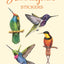 Hummingbirds Stickers (Dover Little Activity Books: Animals)