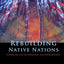 Rebuilding Native Nations: Strategies for Governance and Dev
