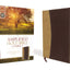 Amplified Holy Bible, Compact, Leathersoft, Tan/Burgundy: Ca