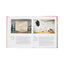 MoMA Now: Highlights from The Museum of Modern Art, New York