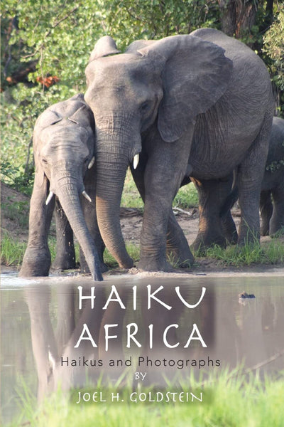 HAIKU AFRICA: Haikus and Photographs