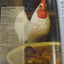 The Encyclopedia of Cajun & Creole Cuisine by John D. Folse