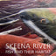 Skeena River Fish and Their Habitat