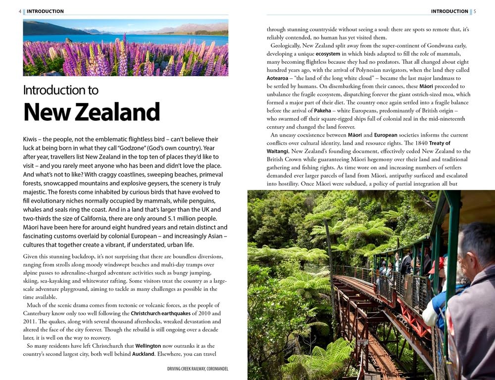 The Rough Guide to New Zealand (Travel Guide with Free eBook) (Rough Guides Main Series)