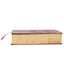 NKJV Study Bible, Leathersoft, Red, Full-Color, Comfort Prin