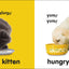 Baby Touch and Feel: Puppies and Kittens