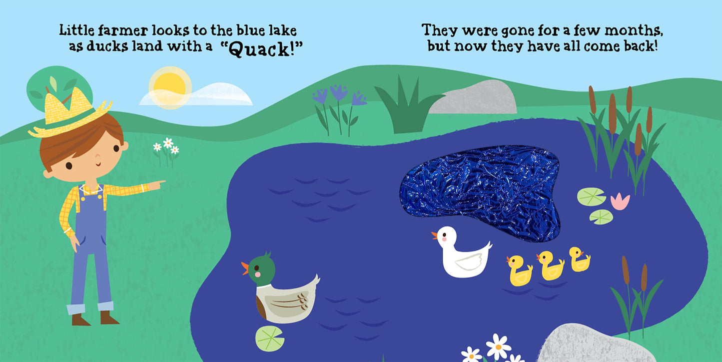 Little Hippo Books Rainbow on the Farm  Children's Sensory Touch and Feel Books  Touch and Feel Farm Books for Toddlers & Baby  Best Kid's Touch ... Sensory Board Books for Baby & Toddler Time)