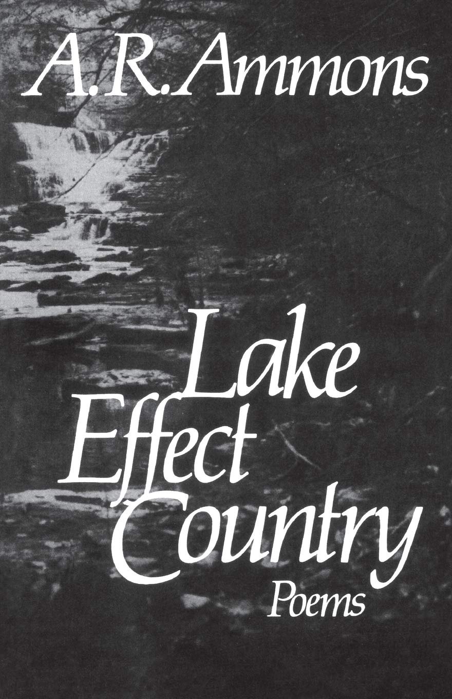Lake Effect Country: Poems