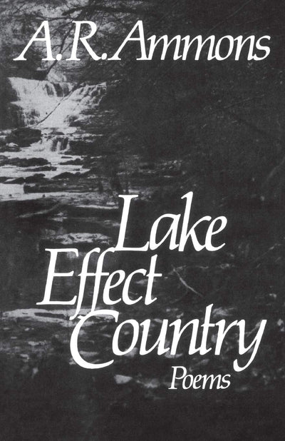 Lake Effect Country: Poems