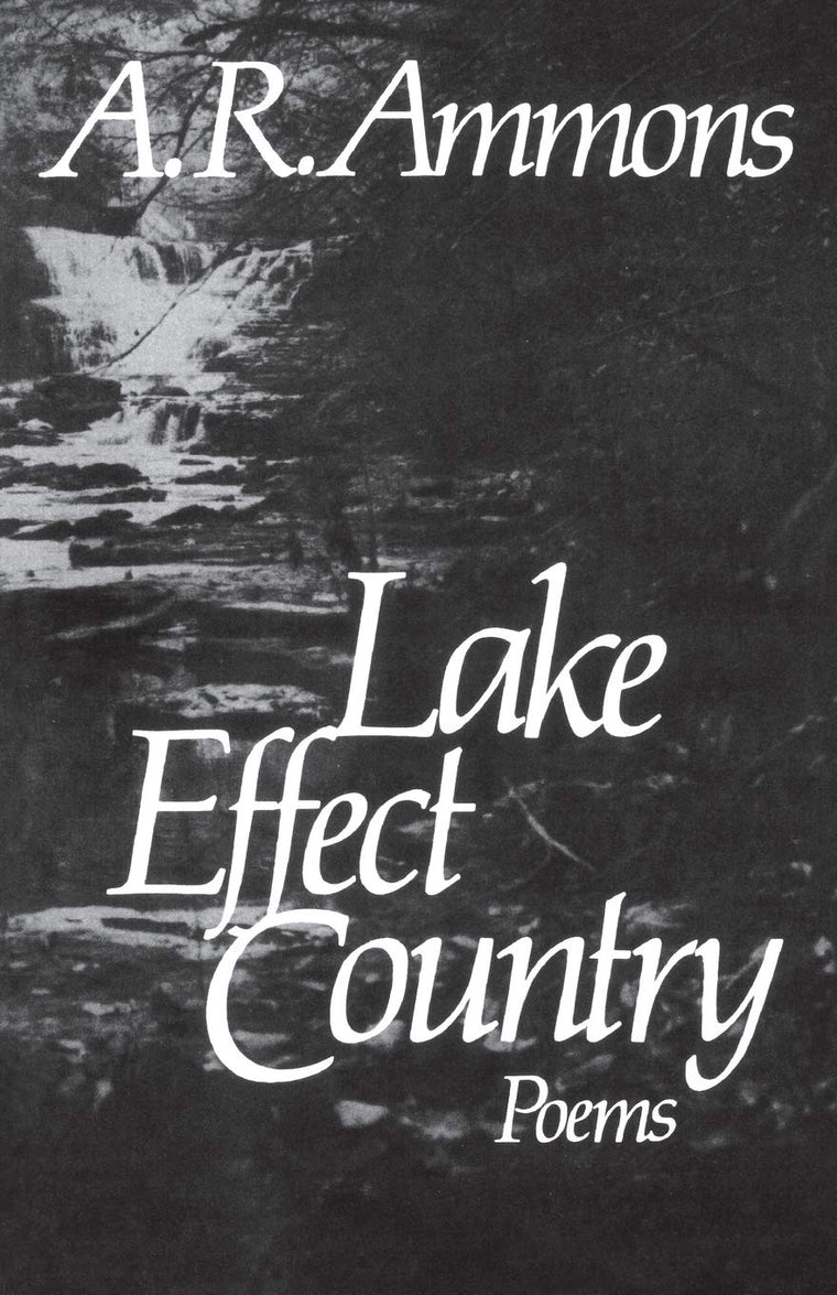 Lake Effect Country: Poems