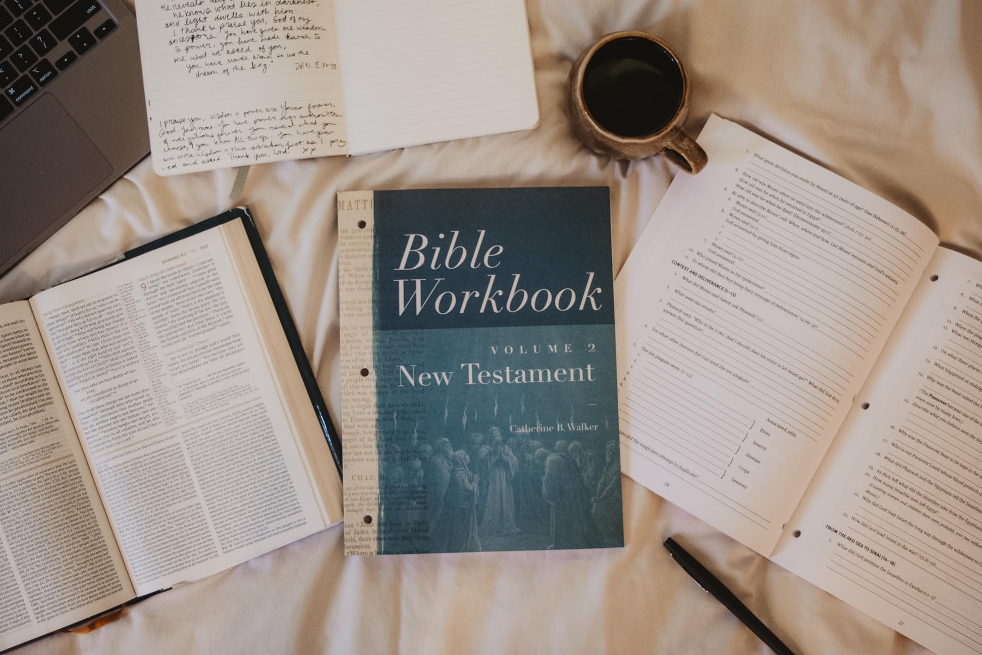 Bible Workbook, Volume 2 -- New Testament
