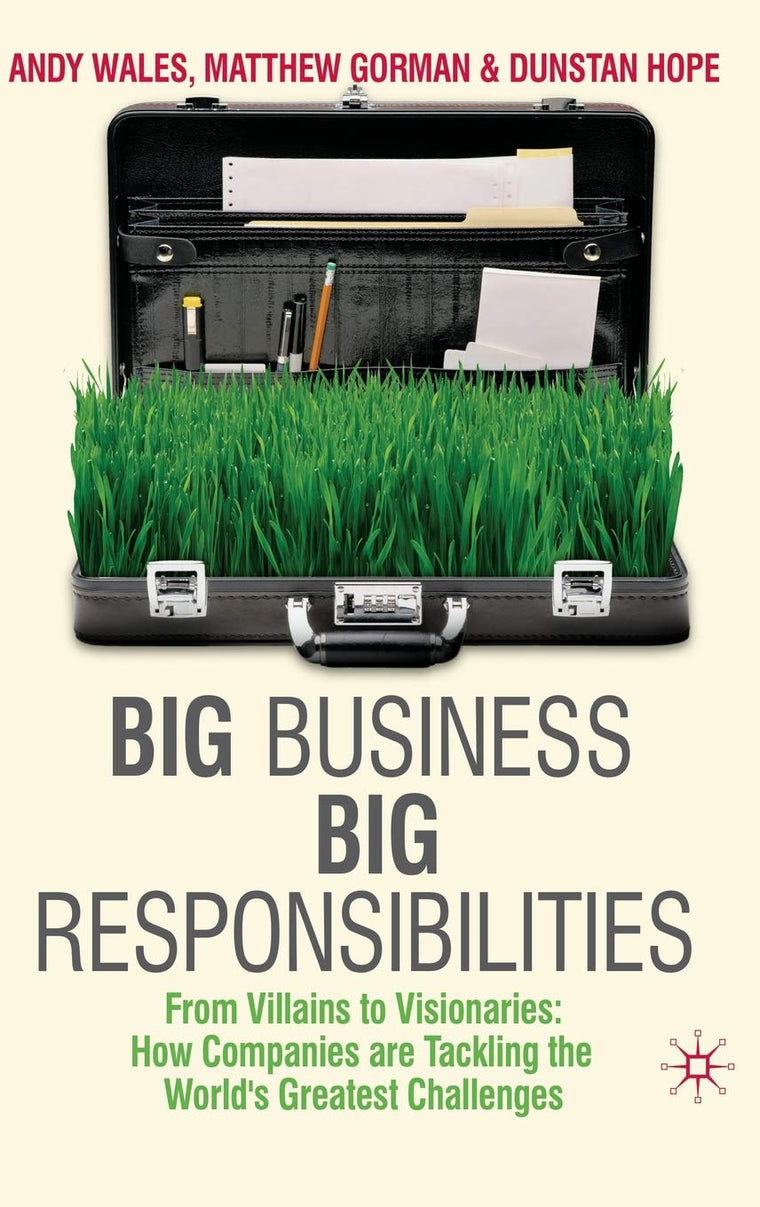 Big Business, Big Responsibilities: From Villains to Visionaries: How Companies are Tackling the World's Greatest Challenges