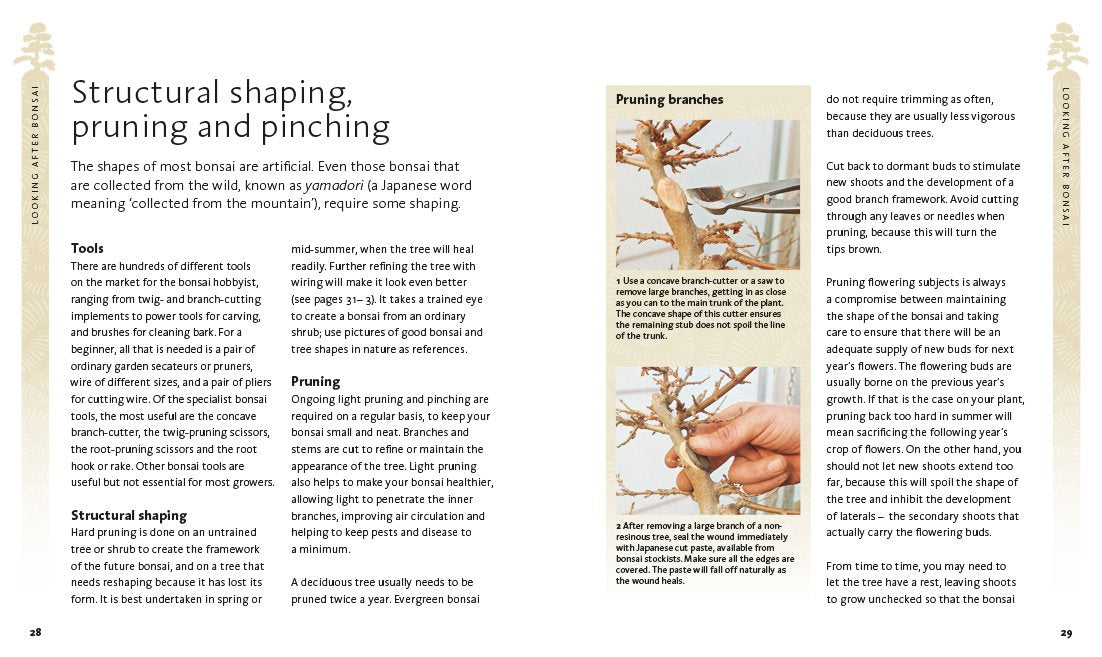 The Bonsai Beginner's Bible
