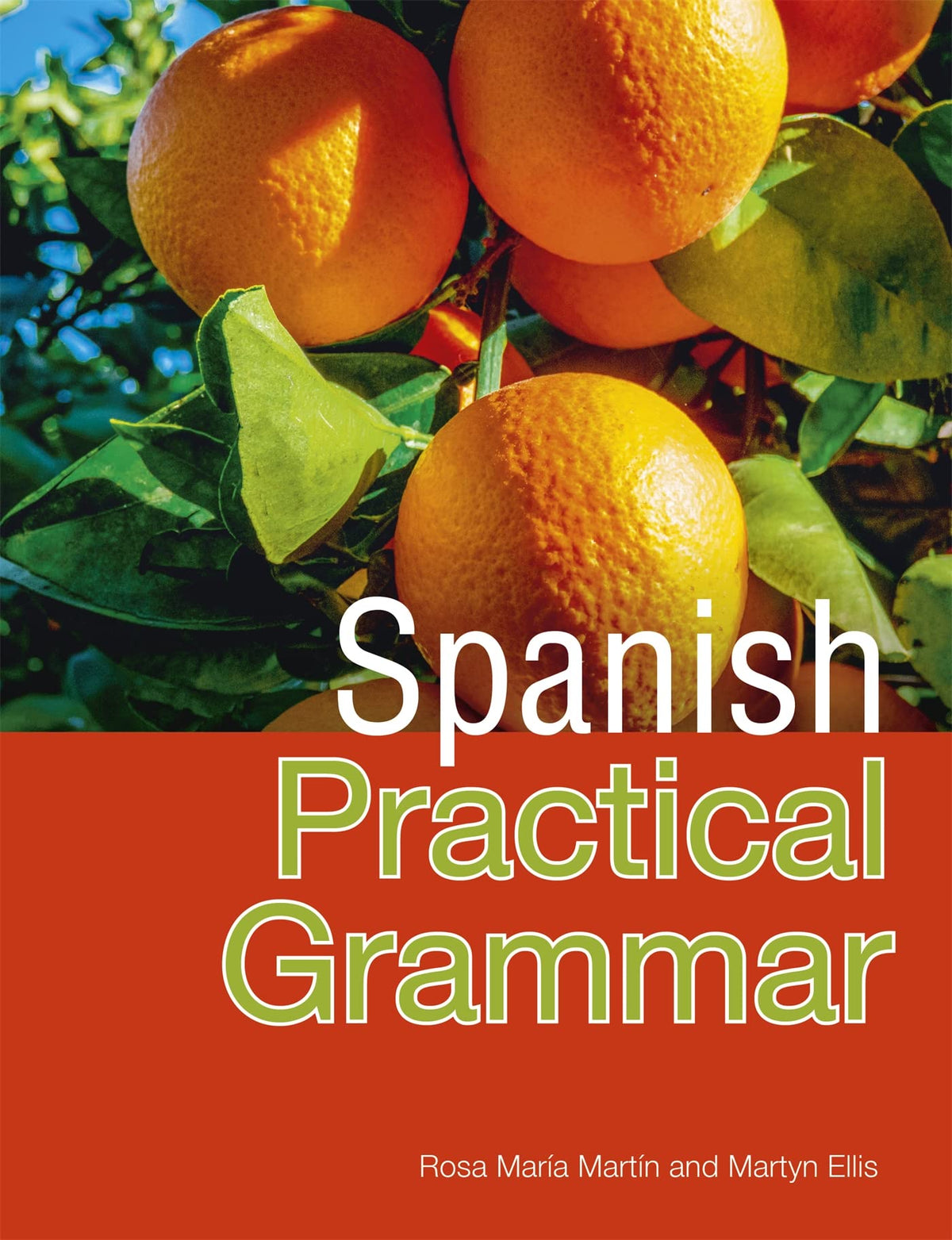 Spanish Practical Grammar (All That Matters)