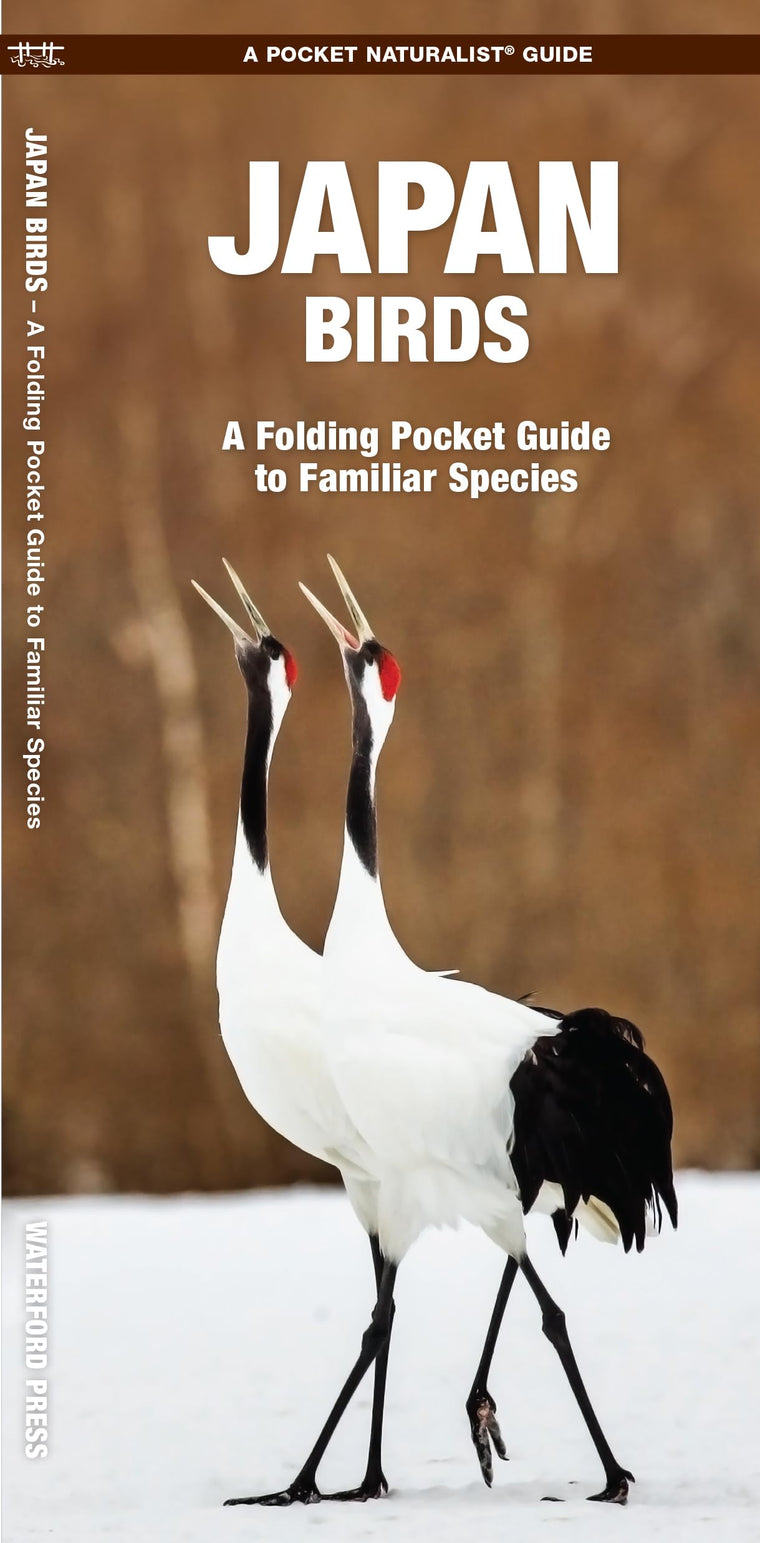 Japan Birds: A Folding Pocket Guide to Familiar Species (Nature Observation International)