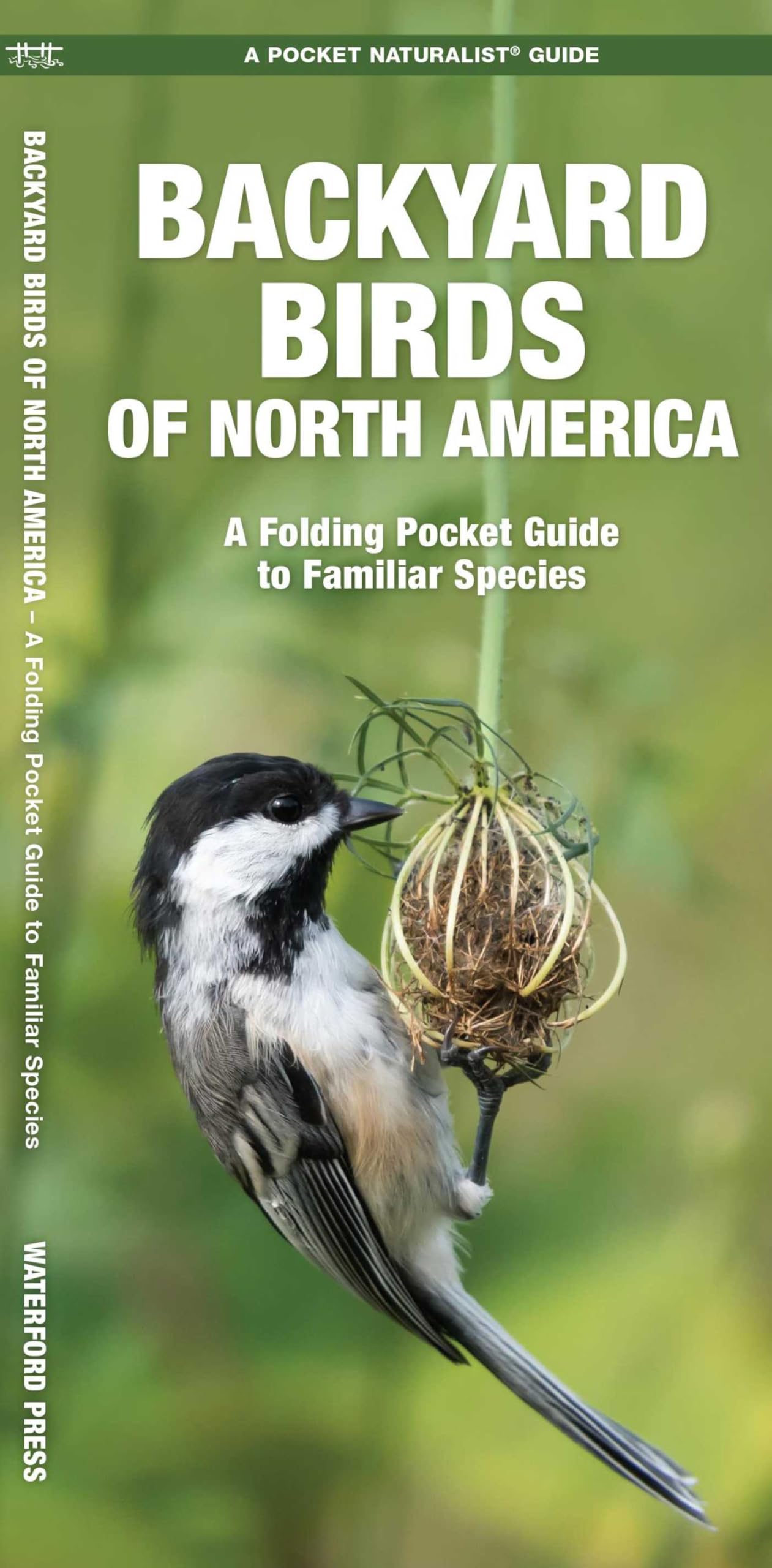 Backyard Birds of North America: A Folding Pocket Guide to Familiar Species (Nature Observation North America)