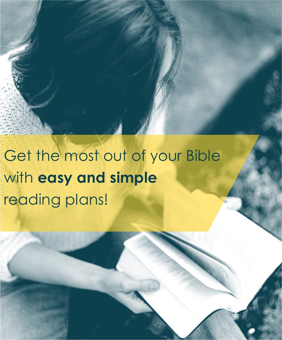 New Believer's Bible NLT (Softcover): First Steps for New Christians