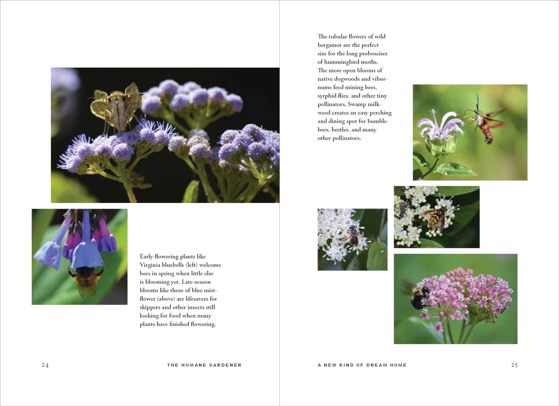 The Humane Gardener: Nurturing a Backyard Habitat for Wildlife (How to Create a Sustainable and Ethical Garden that Promotes Native Wildlife, Plants, and Biodiversity)