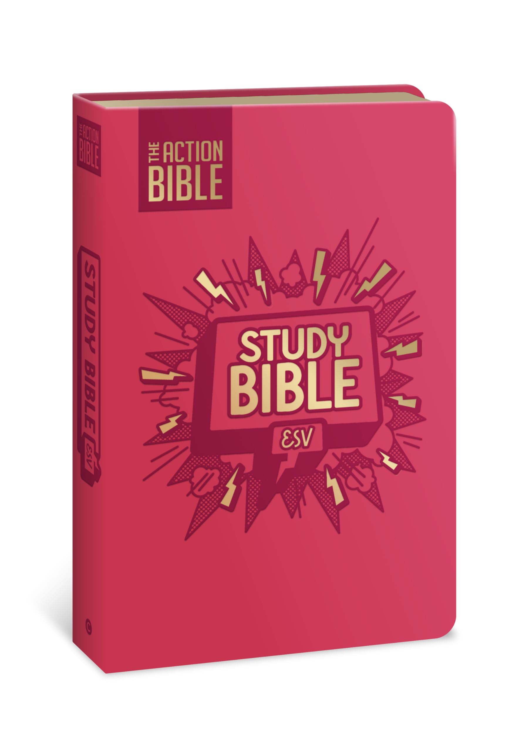 The Action Bible Study Bible ESV, Leathersoft, Pink, Full Color (Action Bible Series)
