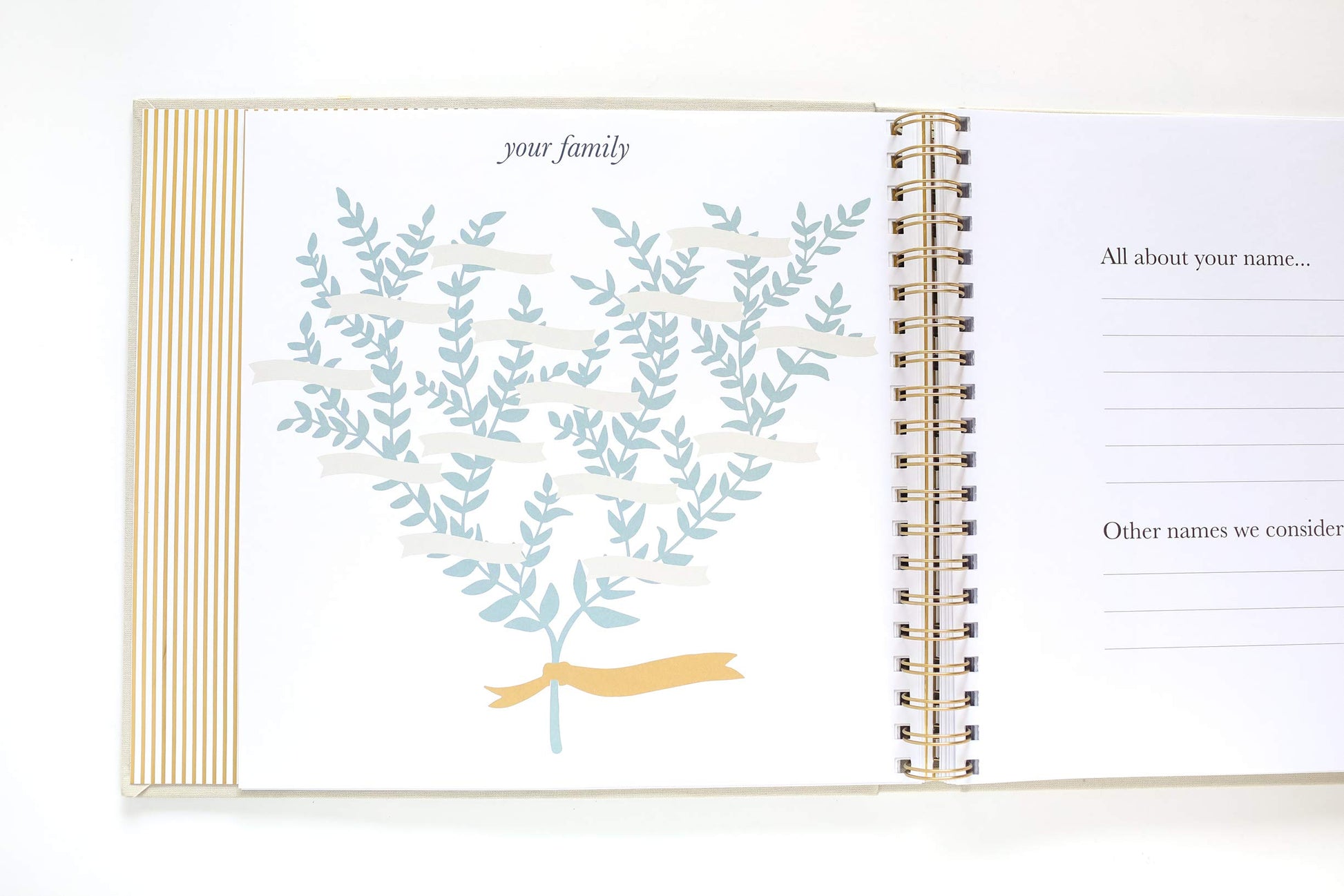 The Baby Memory Book: Beautiful Modern Baby Book and Scrapbook for Baby's First Years to Track Special Moments, Milestones and Growth from Pregnancy to First 5 Years