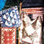 Weekend Log Cabin Quilts for People Who Don't Have Time to Quilt, Book 3 (American School of Needlework, No. 4126)