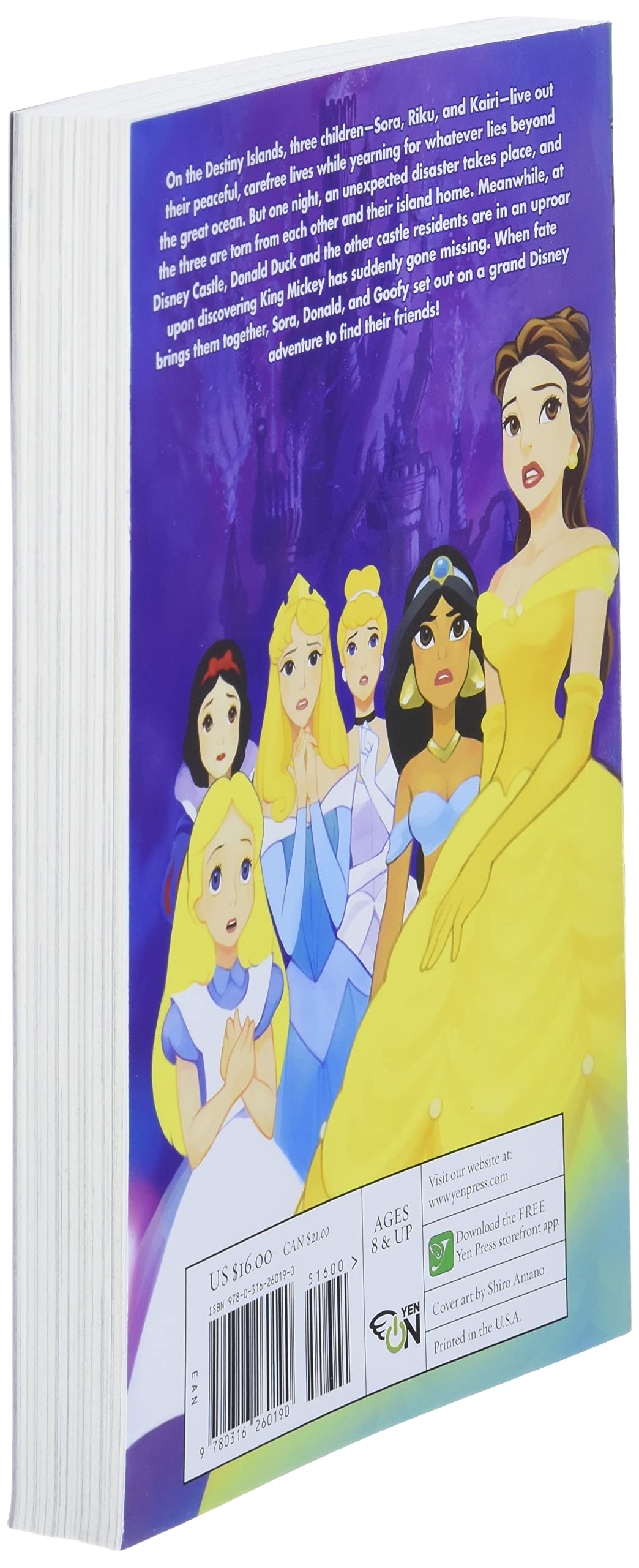 Kingdom Hearts: The Novel - light novel by Kanemaki, Tomoco