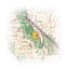 Mammoth Lakes, Mono Divide Map [Inyo and Sierra National Forests] (National Geographic Trails Illustrated Map, 809)