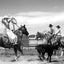 A Ranch Year: Cowboys of the West
