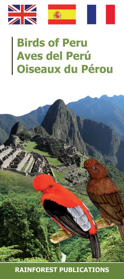 Peru Birds (Laminated Foldout Pocket Field Guide) (English and Spanish Edition)