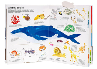 The Ultimate Book of Animals by Anne-Sophie Baumann