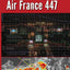 Understanding Air France 447
