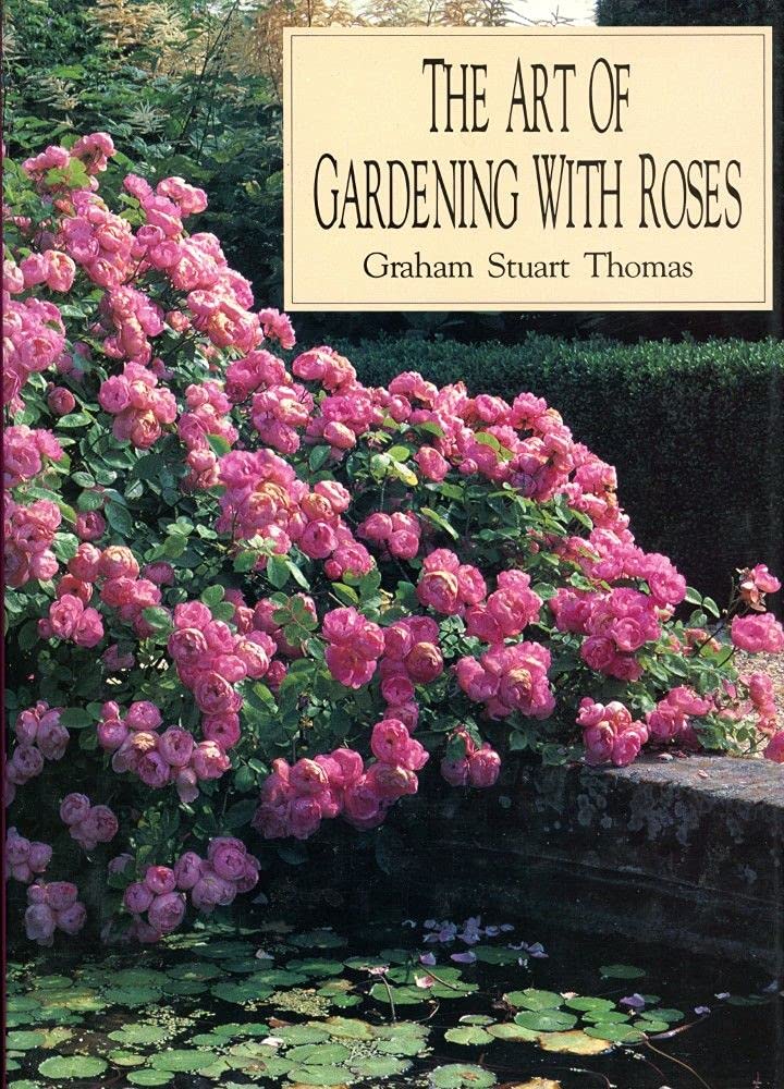 The Art of Gardening With Roses
