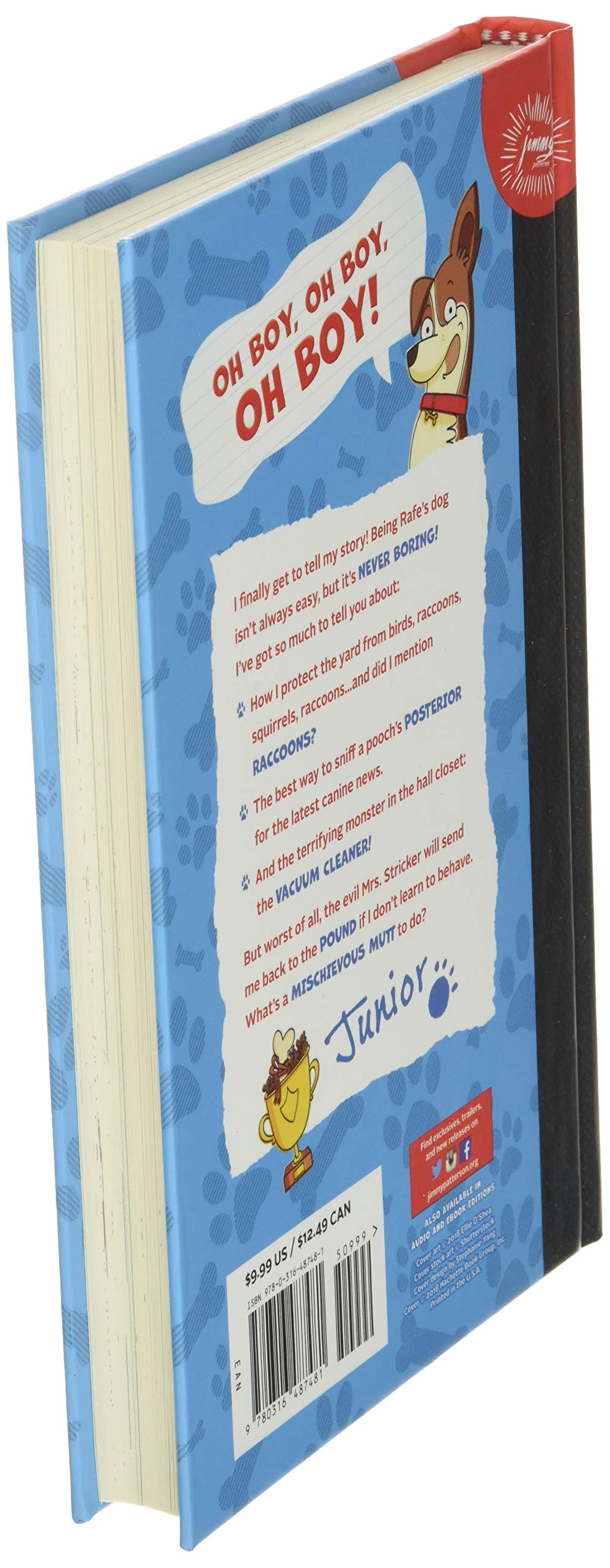 Dog Diaries: A Middle School Story (Dog Diaries, 1)