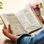 The Sketchbook Bible: The Complete Bible with Hundreds of Illustrations (NKJV, Hardcover, Red Letter, Comfort Print)