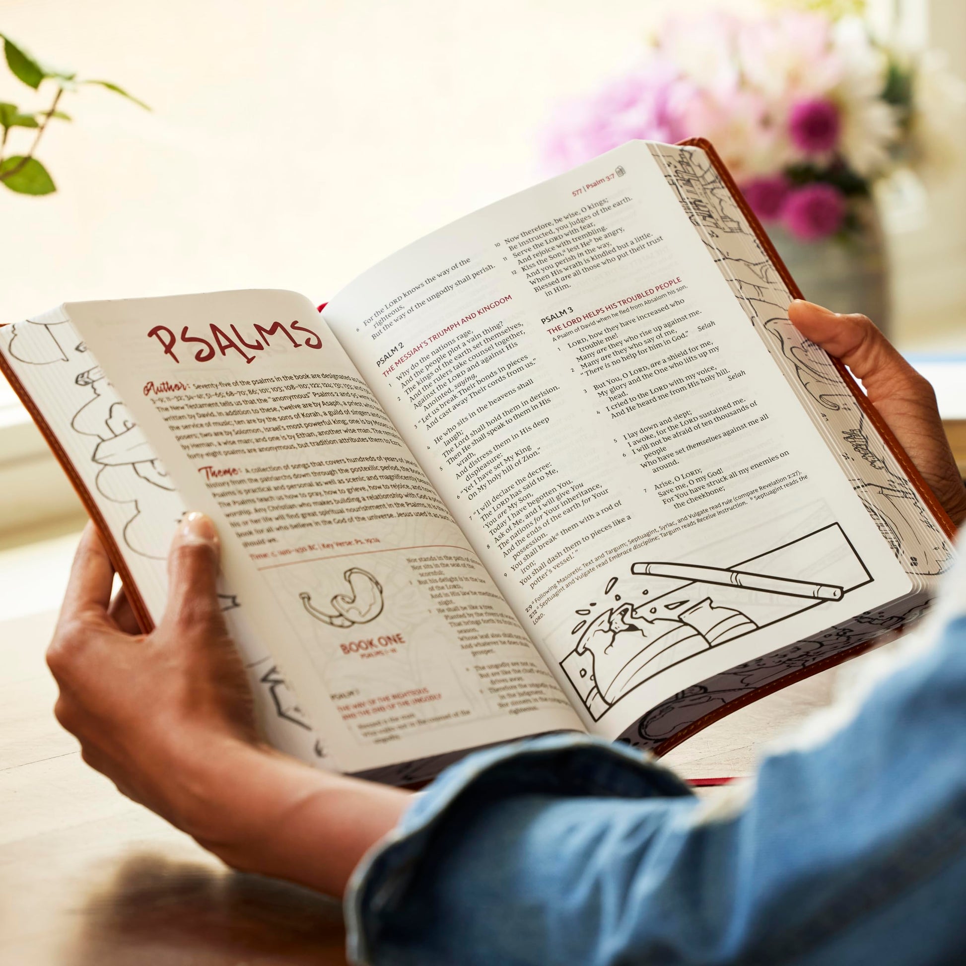 The Sketchbook Bible: The Complete Bible with Hundreds of Illustrations (NKJV, Hardcover, Red Letter, Comfort Print)