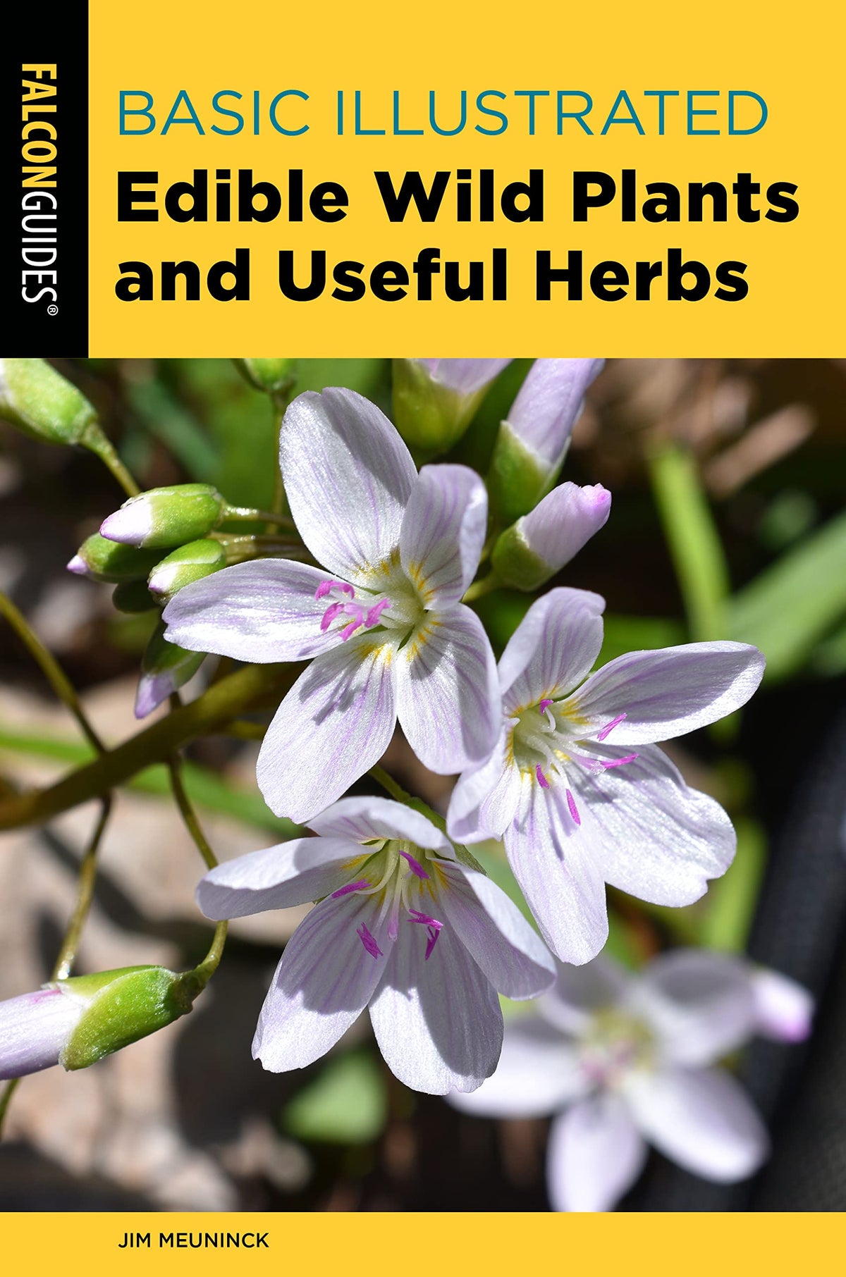 Basic Illustrated Edible Wild Plants and Useful Herbs (Basic Illustrated Series)