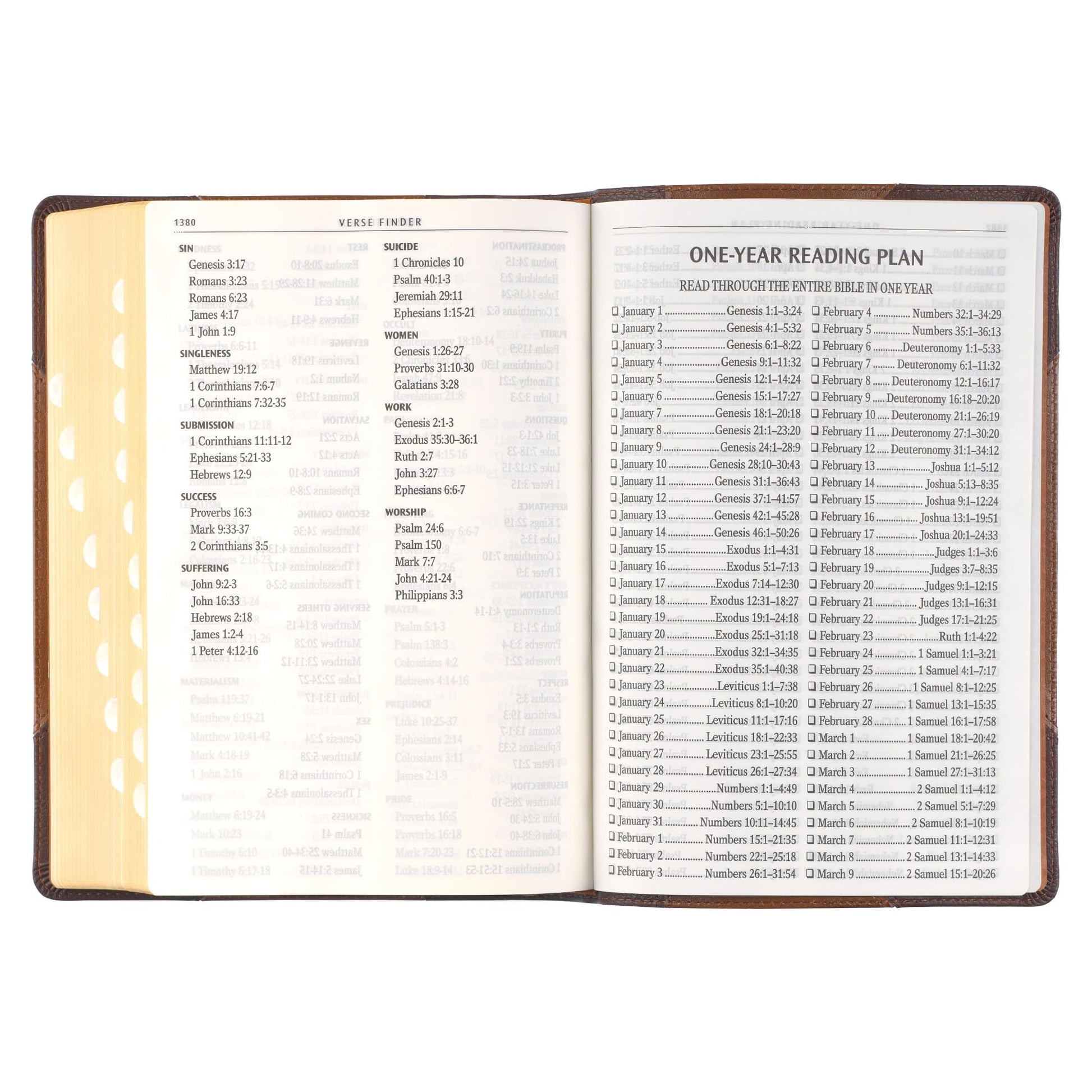 KJV Holy Bible, Giant Print Full-size Faux Leather Red Letter Edition - Thumb Index & Ribbon Marker, King James Version, Two-tone Brown (KJV Full Size GP Editions)