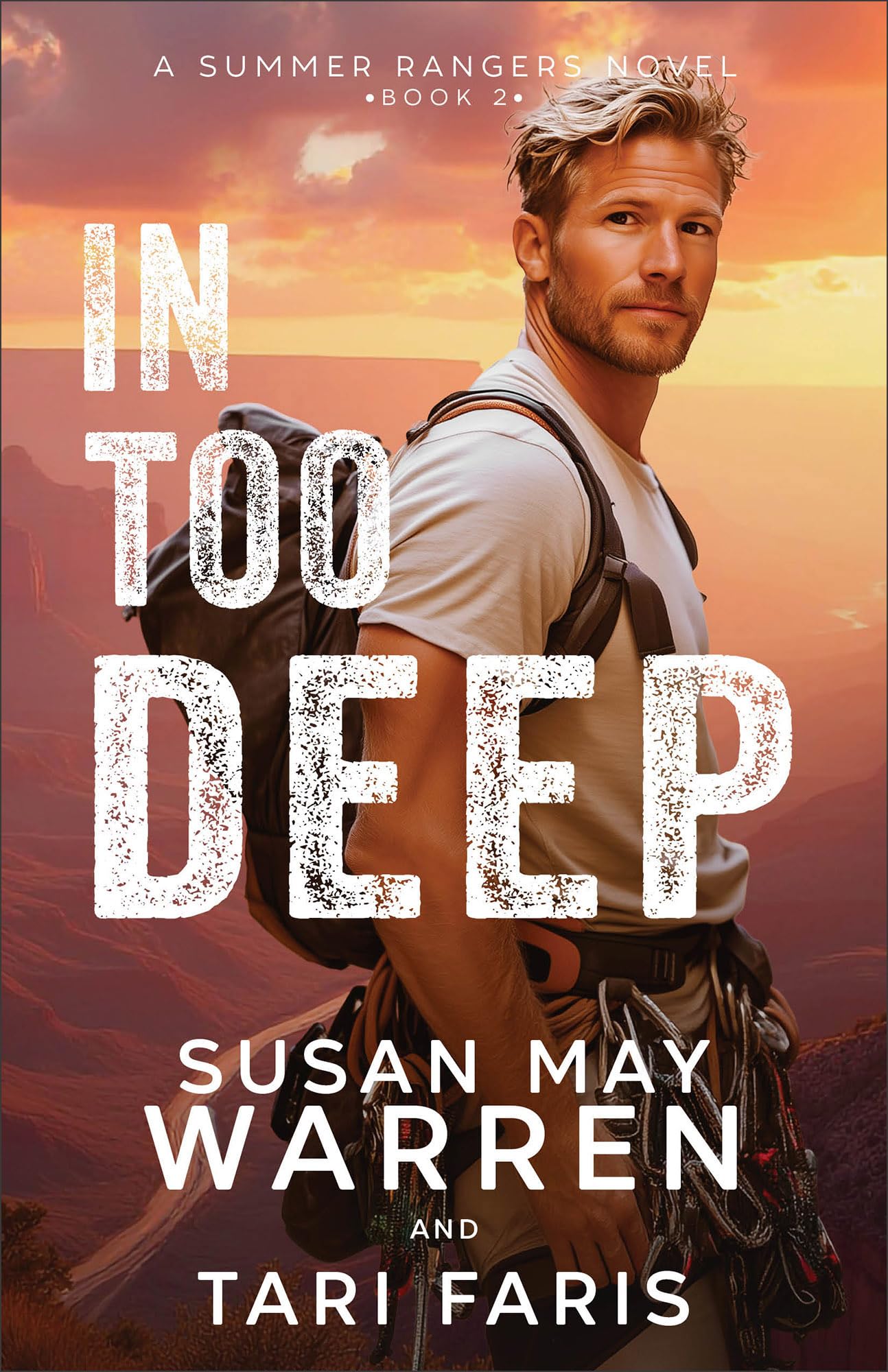 In Too Deep: Romantic Suspense Thriller set in the Grand Canyon with Second Chances, Action, and Medical Drama (Summer Rangers)