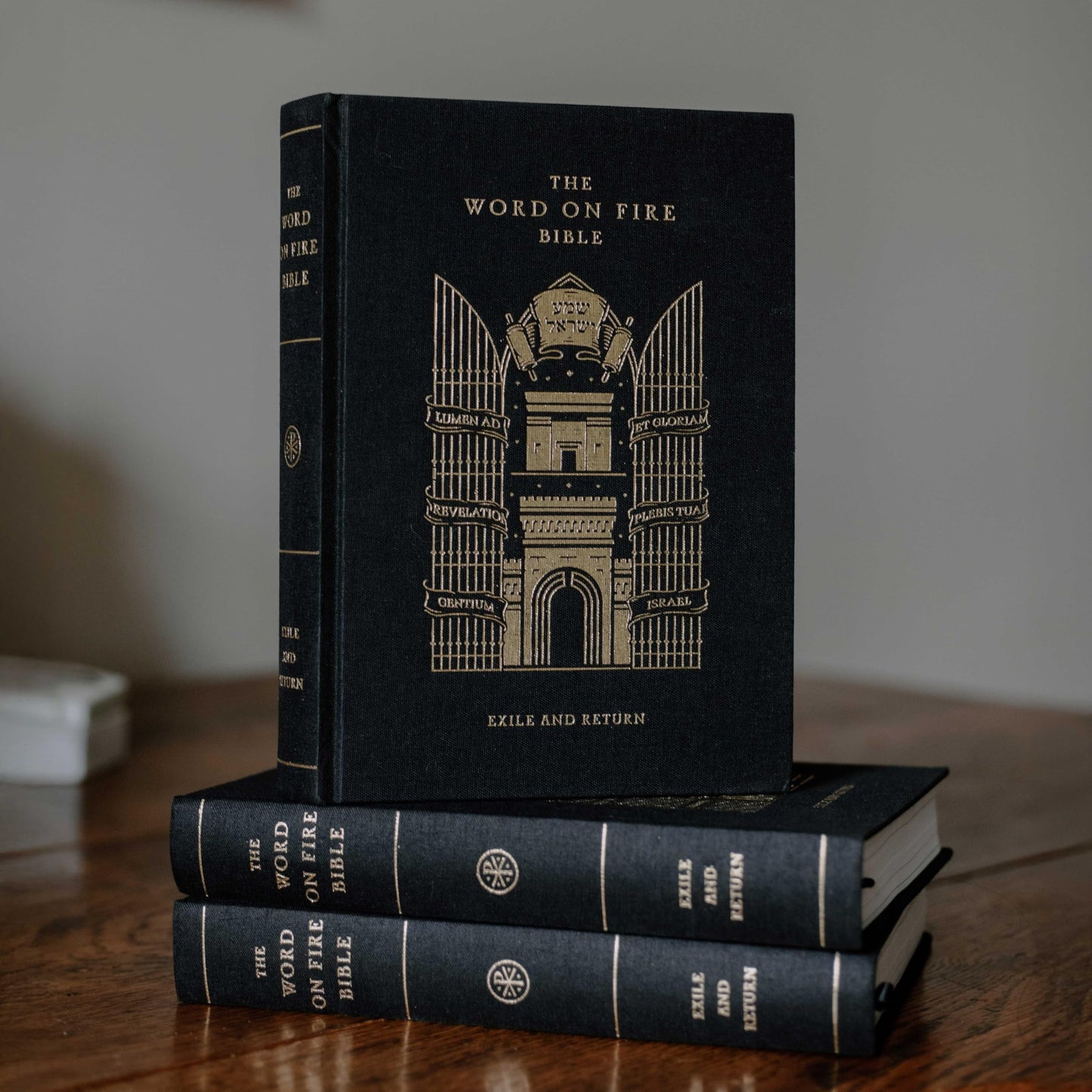 The Word on Fire Bible (Volume V): Exile and Return (Hardcover) (Word on Fire Bible Series)