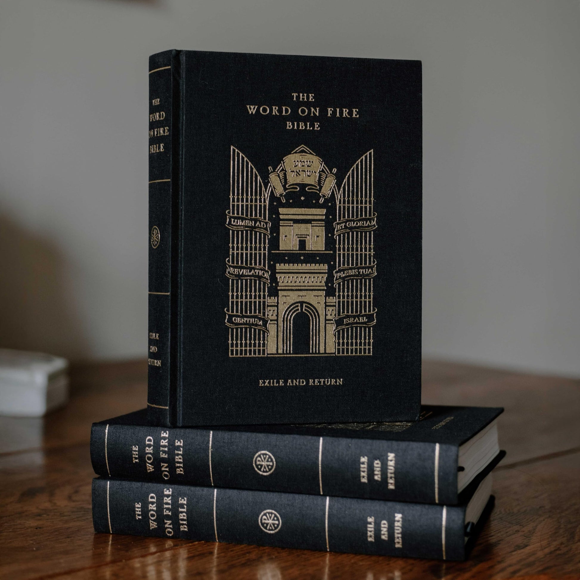 The Word on Fire Bible (Volume V): Exile and Return (Hardcover) (Word on Fire Bible Series)