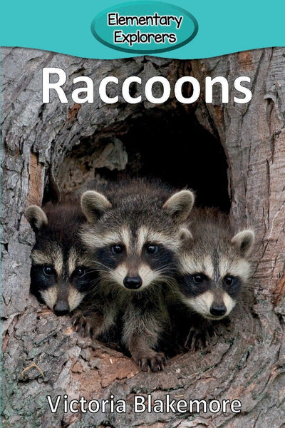 Raccoons (Elementary Explorers)